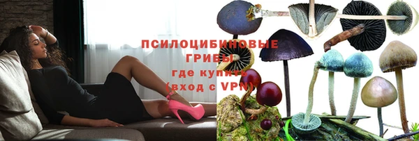 винт Алексин