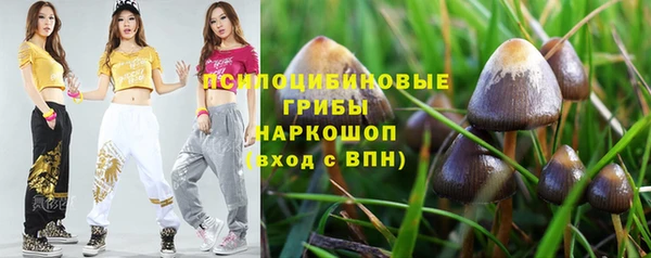 бутират Алексеевка