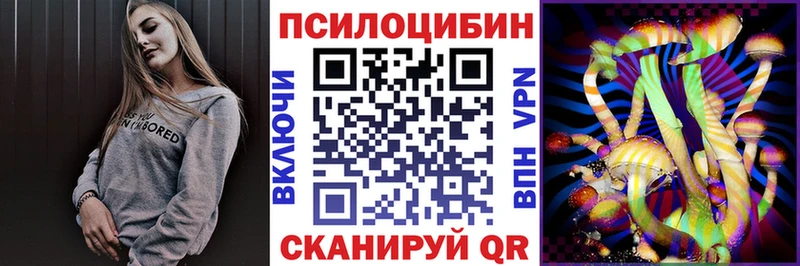 купить наркотик  Гусь-Хрустальный  kraken зеркало  Псилоцибиновые грибы GOLDEN TEACHER 