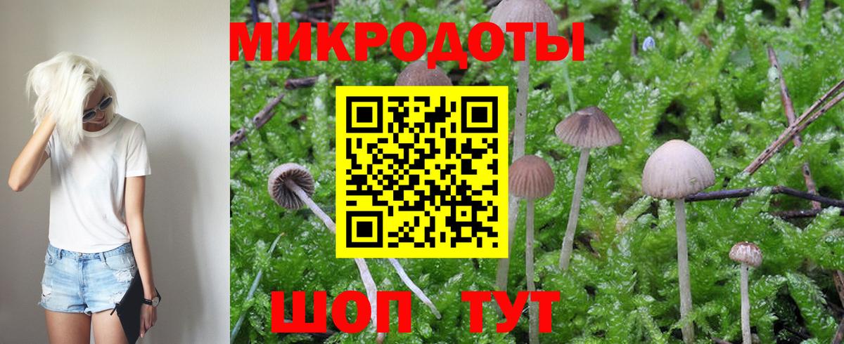 Гусь-Хрустальный  Галлюциногенные грибы мухоморы  Вход с VPN 