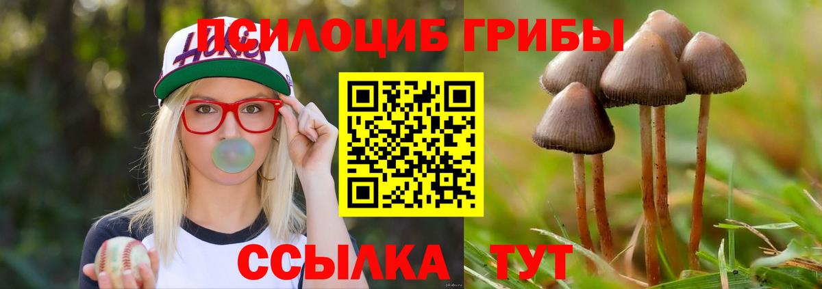 Псилоцибиновые грибы MAGIC MUSHROOMS Гусь-Хрустальный