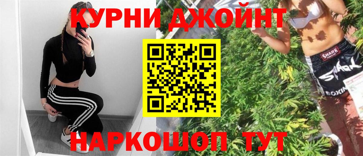 Конопля Bruce Banner  Вход с VPN  Бошки марихуана Bruce Banner  Гусь-Хрустальный  Конопля сатива 
